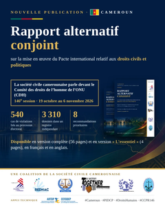 rapport alternative conjoint sur le mise en œuvre du pacte internationale relatif aux droits civils et politiques
